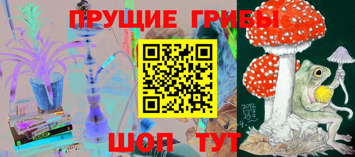 Галлюциногенные грибы мицелий  Вход с VPN  Галлюциногенные грибы Psilocybe  хочу наркоту  Зерноград 